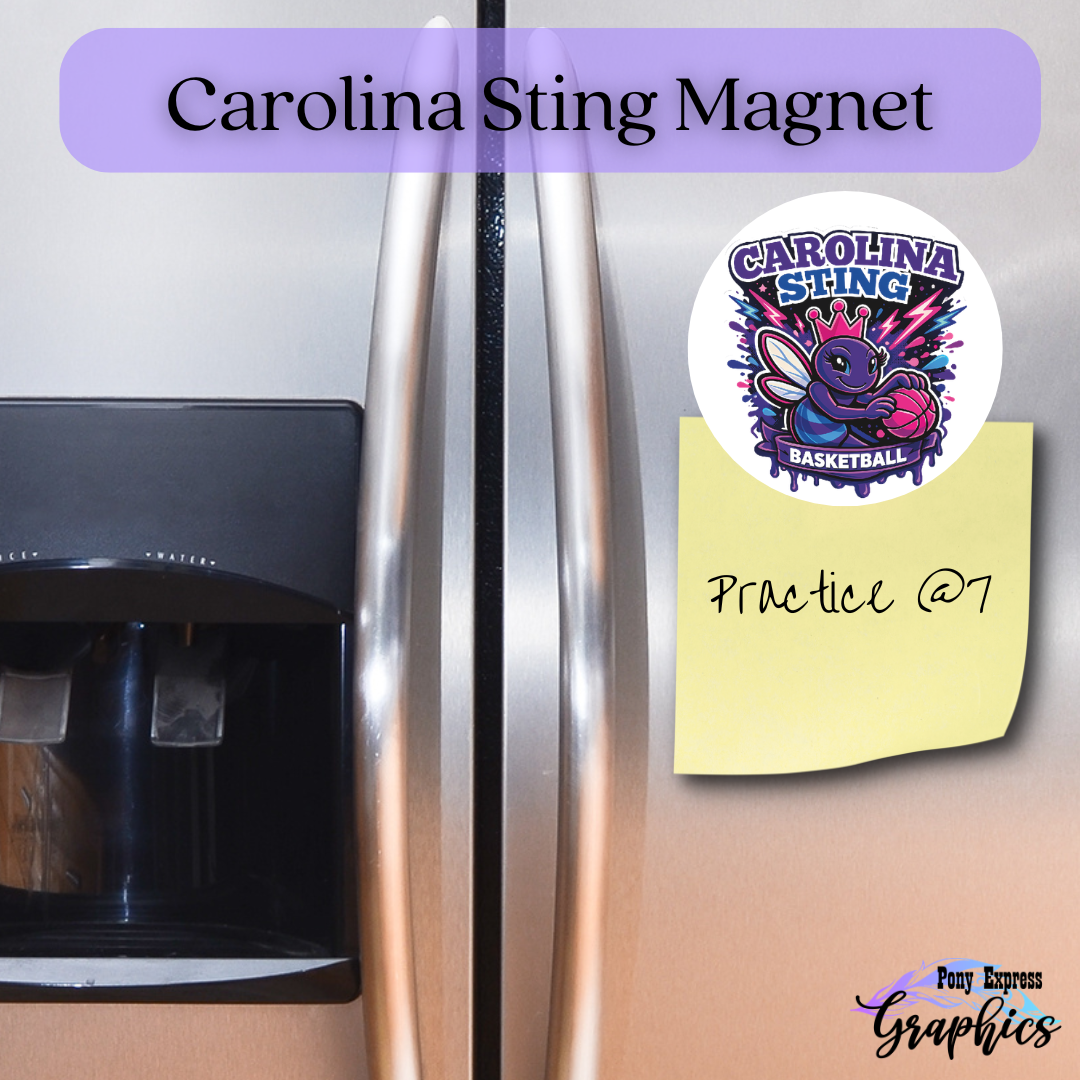 Carolina Sting Fundraiser - Magnet