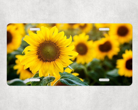 Personalized Sunflower License Plate